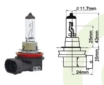 AMPUL [12V. H8 35W. ]