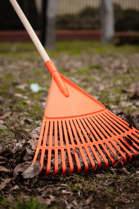 Sap bağlantısı, mandallı, plastik